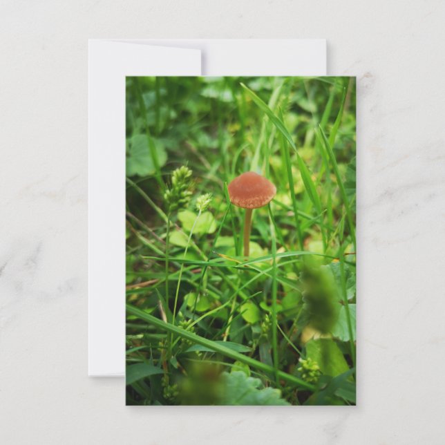 carte de salutation de champignons (Devant)