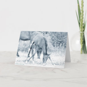 Carte de salutation du poulailler_Motivational