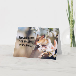 Carte de santé pour enfants Hamster