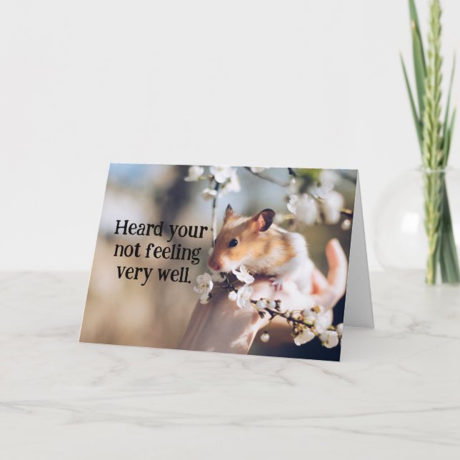 Carte de santé pour enfants Hamster (Devant)