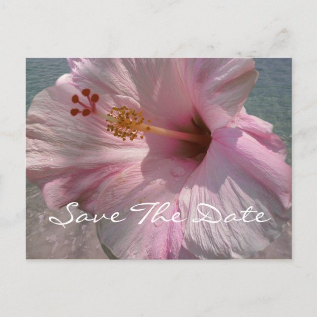 Carte de sauvegarde de date - Mariage tropical sur (Devant)