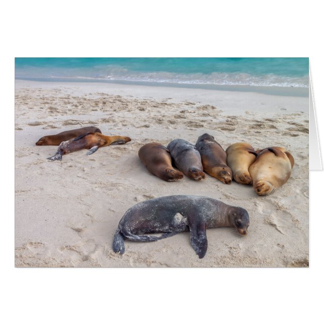 Carte de scellement (Devant horizontal)