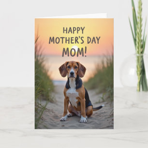 Carte de scène de coucher de soleil avec chien sur
