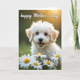 Carte de scène de la fête des mères avec chien duv