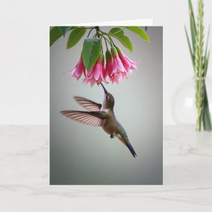 Carte de scène du colibri iridescent