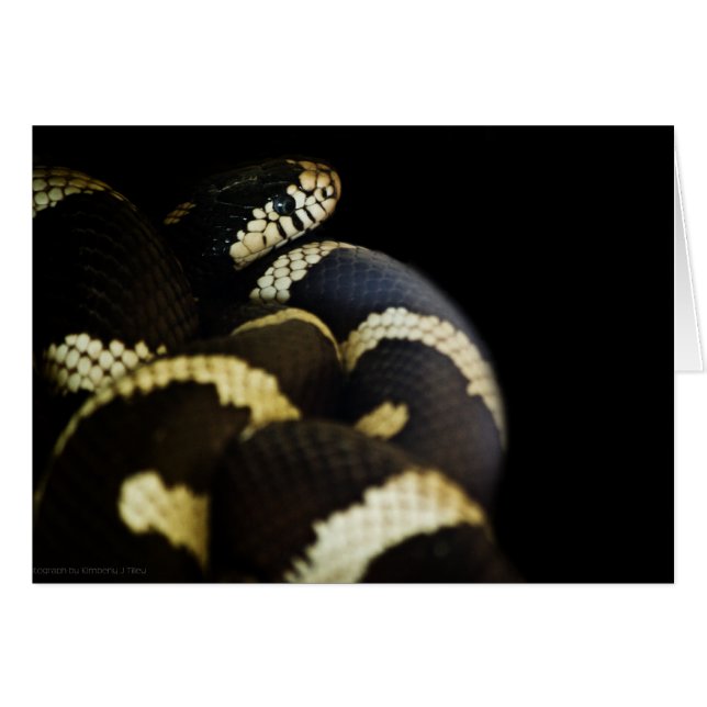 Carte de serpent King de Californie (Devant Horizontal)