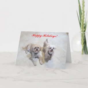 Carte de Shih Tzu bonnes fêtes