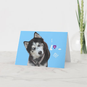 Carte de Siberian Husky Birthday