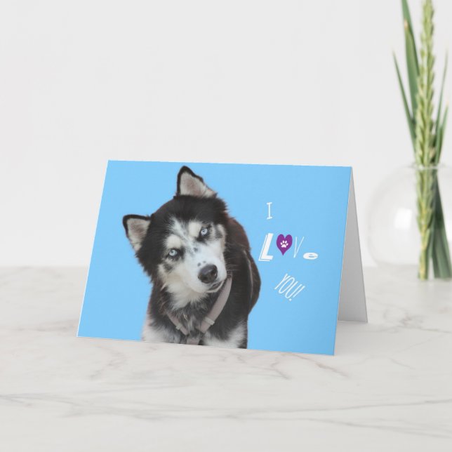 Carte de Siberian Husky Birthday (Devant)