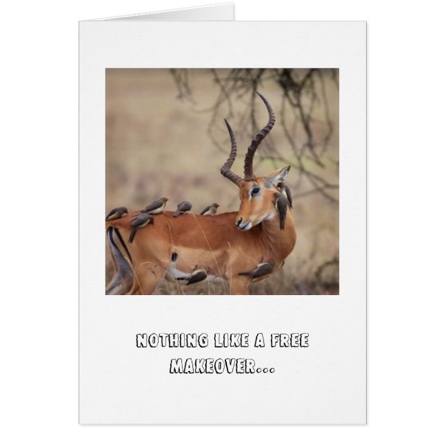 Carte de soins (Devant)