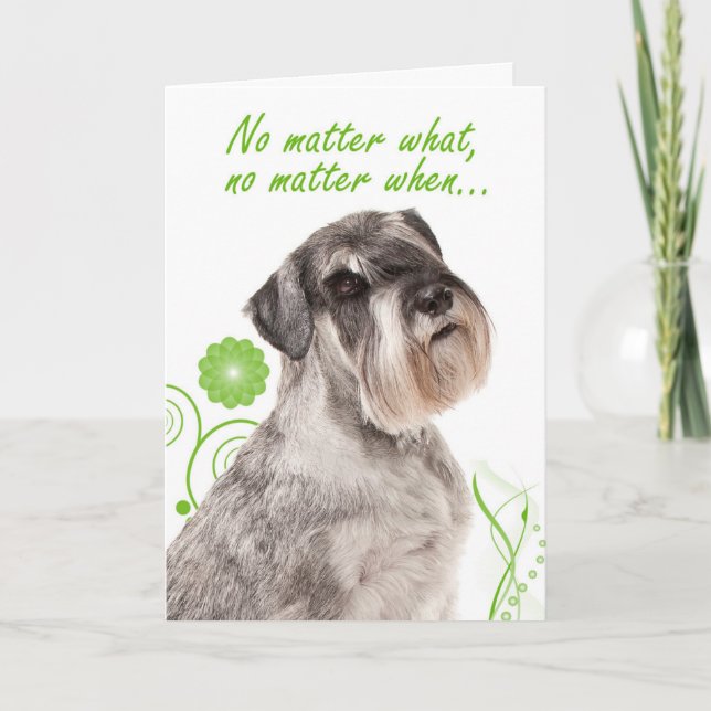 Carte de soutien et d'amour pour Schnauzer (Devant)