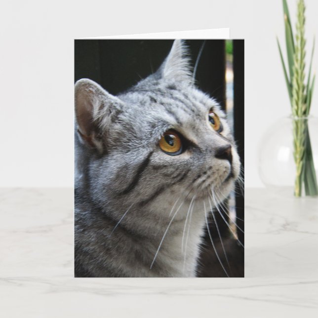 Carte de Spirit (Devant)