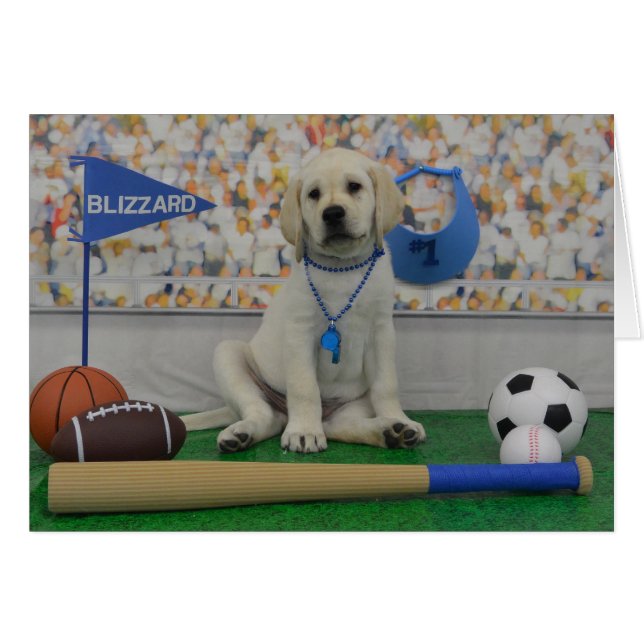 Carte de sports de tempête de neige (Devant horizontal)