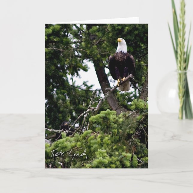 Carte de stationnement (Devant)