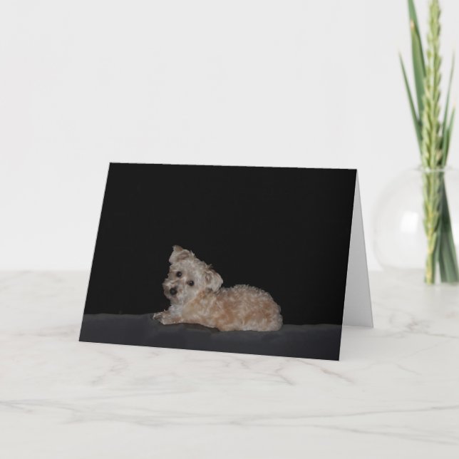 Carte de succès de la chienne triste (Devant)