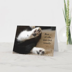 Carte de succès pour les pattes Kitty