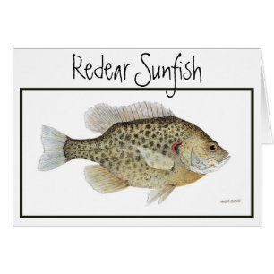Carte de Sunfish de Redear