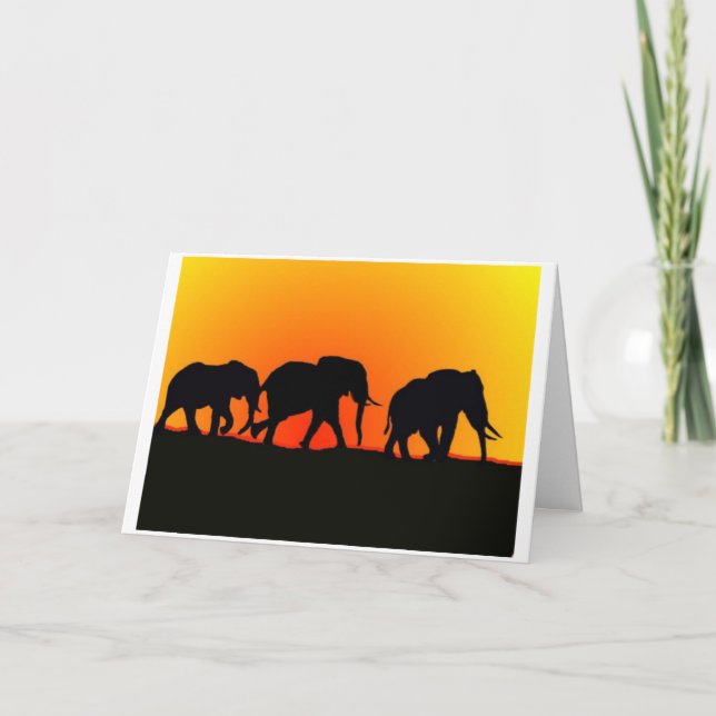 Carte de Sunset Elephants (Devant)