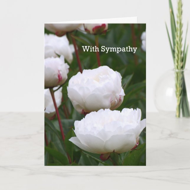 Carte de sympathie (Devant)