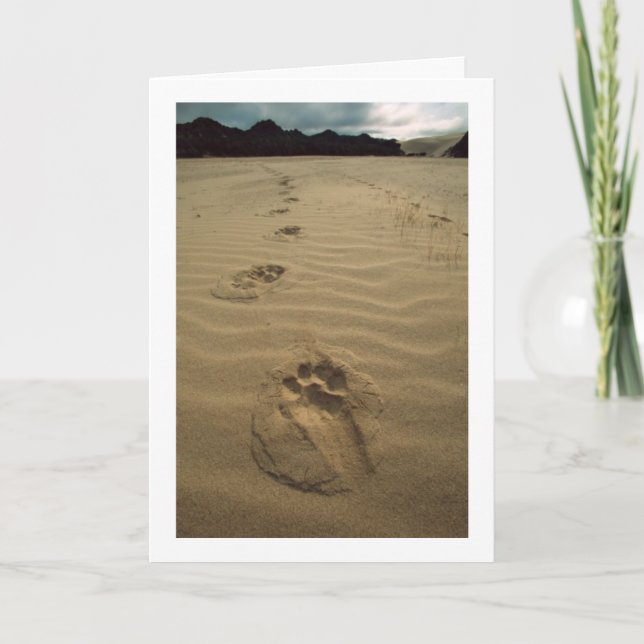 Carte de sympathie (Devant)