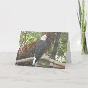 Carte de sympathie « Aigle royal »