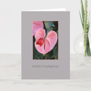Carte de sympathie Anthurium italien