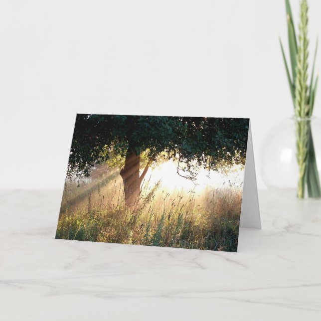 Carte de sympathie aube profonde (Devant)