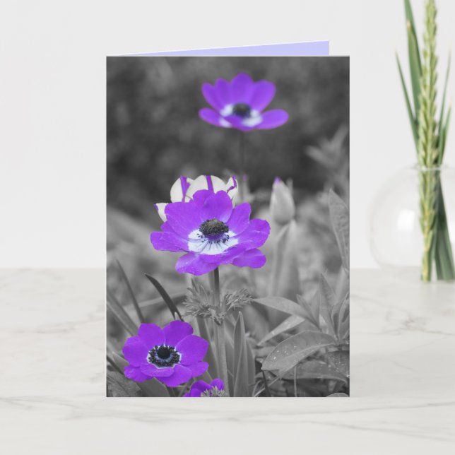 Carte de Sympathie aux fleurs violettes (Devant)