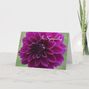 Carte de sympathie avec gros plan de dahlia violet