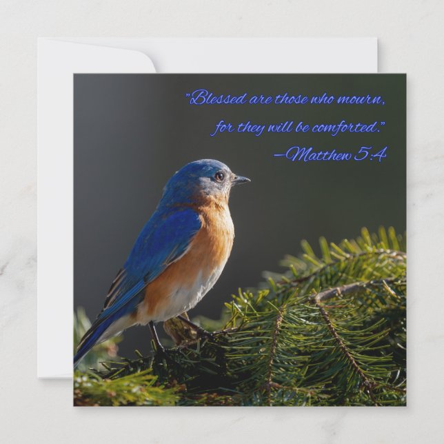 Carte de sympathie Beau Bel Oiseau bleu Matthieu 5 (Devant)
