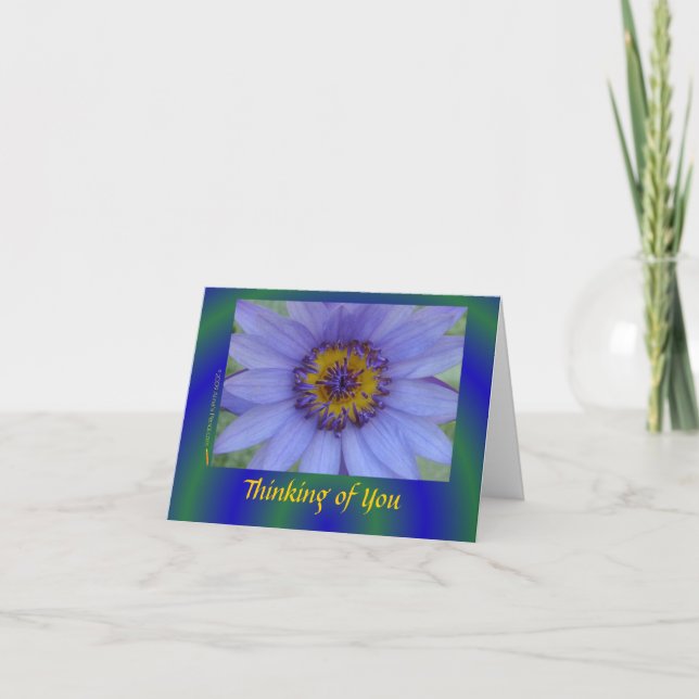 Carte de sympathie bleue de fleur de nénuphar (Devant)