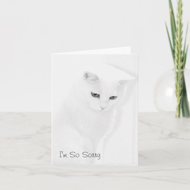 Carte de sympathie de chat (Devant)