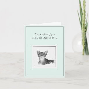 Carte de Sympathie de chat Abyssinian
