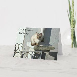 Carte de sympathie de chat avec chat gris et blanc