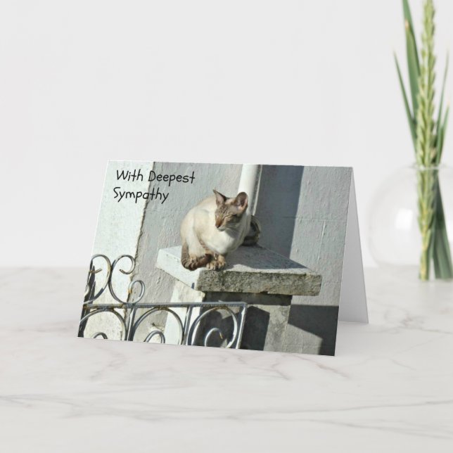Carte de sympathie de chat avec chat gris et blanc (Devant)