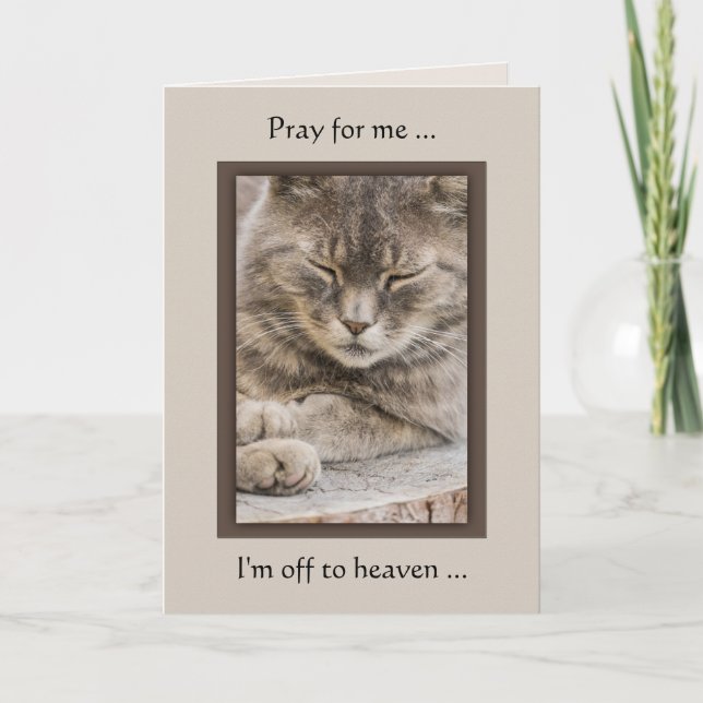 Carte de Sympathie de chat photo personnalisée (Devant)