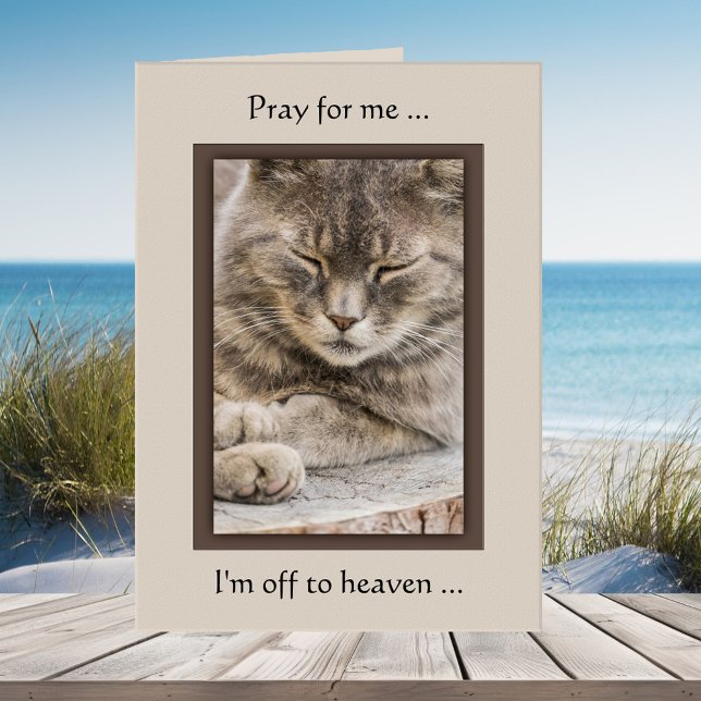 Carte de Sympathie de chat photo personnalisée (Cat sympathy greeting card featuring your custom photo)