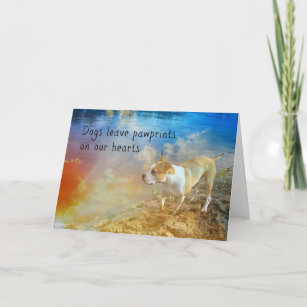 Perte D Une Citation Animal Familier Invitations Faire Part Cartes Zazzle