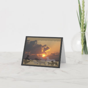Carte de sympathie de coucher du soleil de BCD