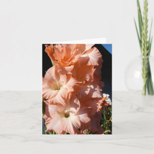 Carte de sympathie de Gladiola de Carol