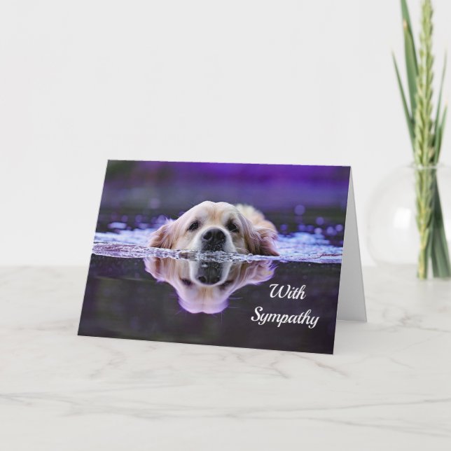Carte de sympathie de golden retriever (Devant)
