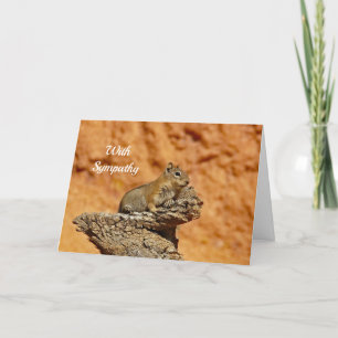 Carte de Sympathie de l'écureuil terrestre 2