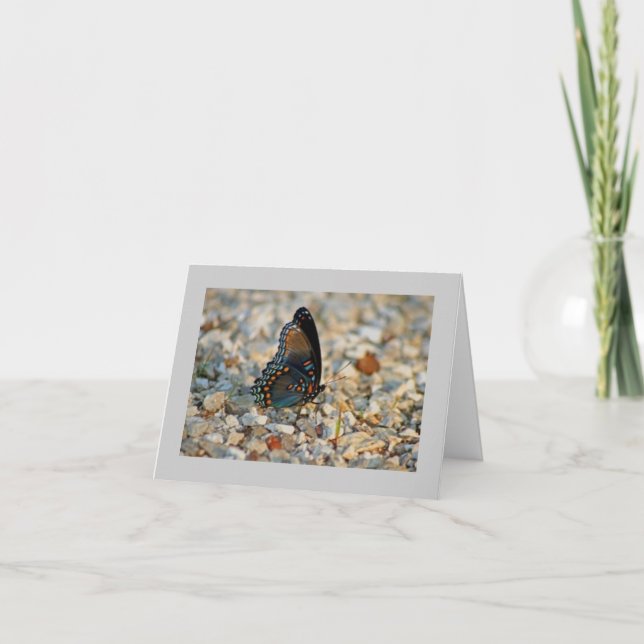 Carte de sympathie de papillon (Devant)