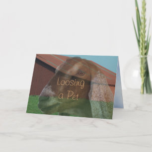 Carte de sympathie de vision de daine de Nubian ou