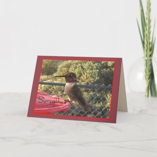Carte de Sympathie des colibris pour n'importe qui (Devant)