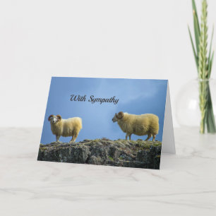 Carte de sympathie des moutons de montagne