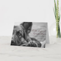 Carte de sympathie du berger allemand.