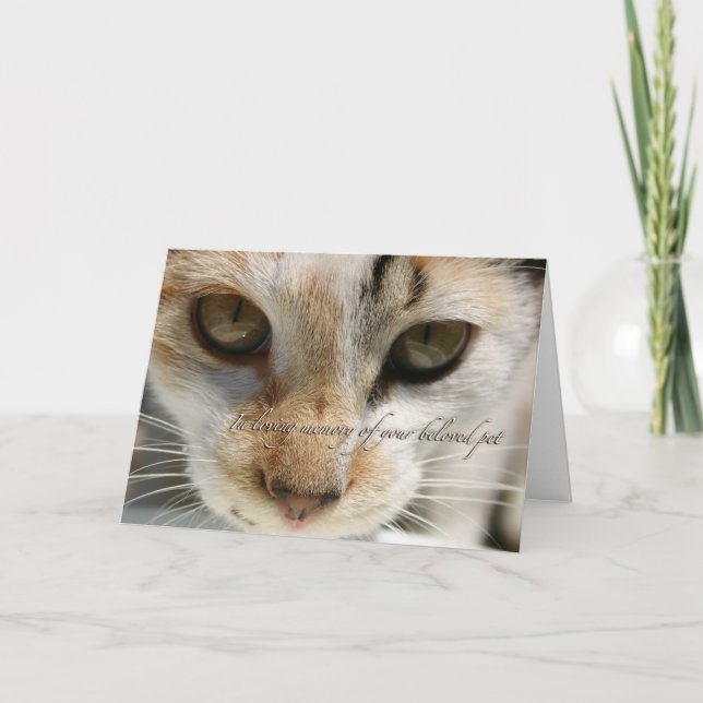 carte de sympathie du chat (Devant)