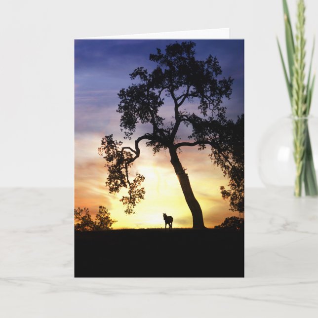 Carte de sympathie du cheval (Devant)