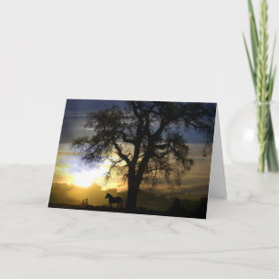 Carte de sympathie du cheval